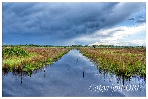 OBP_Oare_037