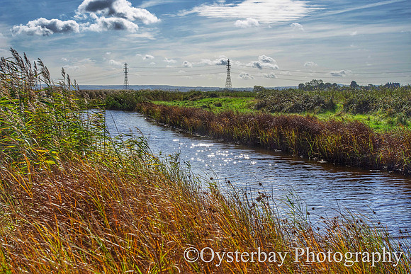 OBP_Oare_20201007A_034