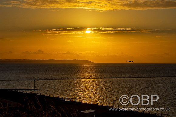 OBP_Sunset19072020_006