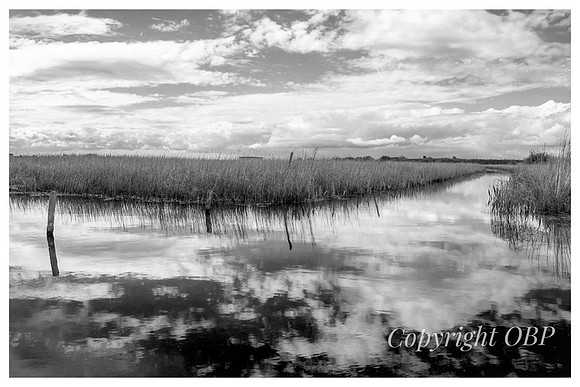 OBP_Oare_045