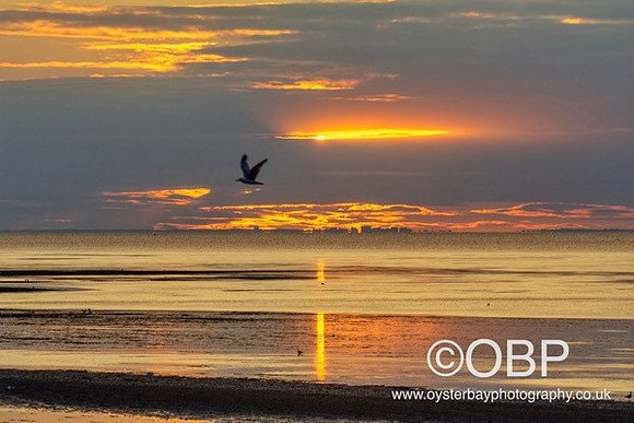 OBP_HerneBay_SS_102