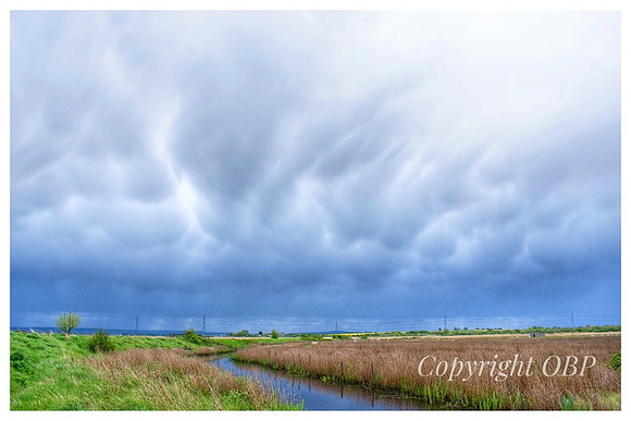OBP_Oare_049