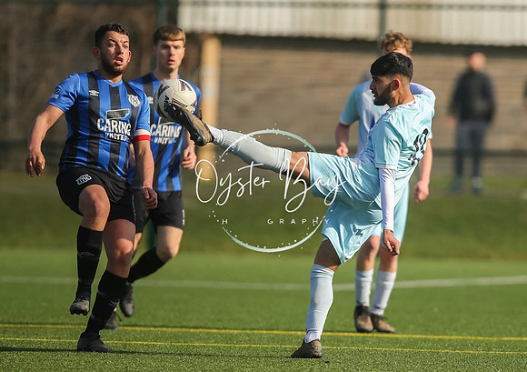 StanhopeRes_2-11_FortunaSwans_113