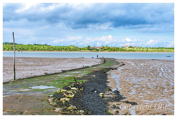 OBP_Oare_117