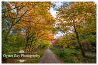 OBP_Clowes_231020_026