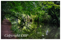 OBP_Apsley_003