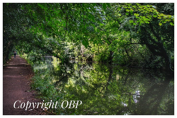 OBP_Apsley_003