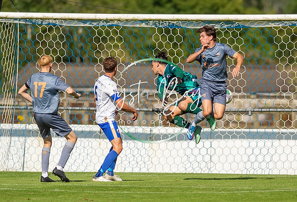 SECFL_Bearsted-1-1_Stansfeld_267