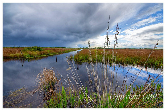 OBP_Oare_051