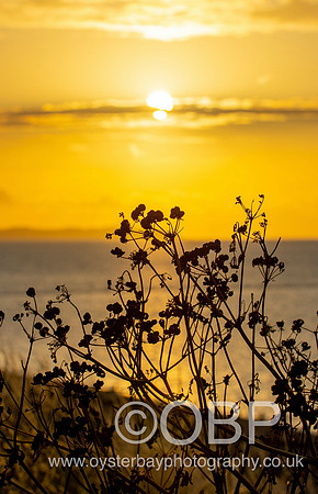 OBP_Sunset19072020_005