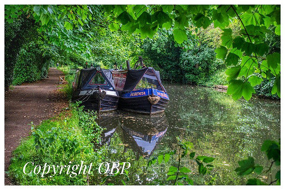 OBP_Apsley_025