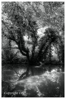 OBP_Apsley_004