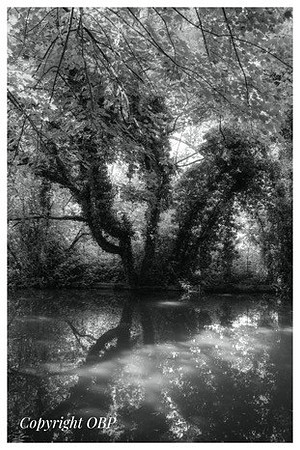 OBP_Apsley_004