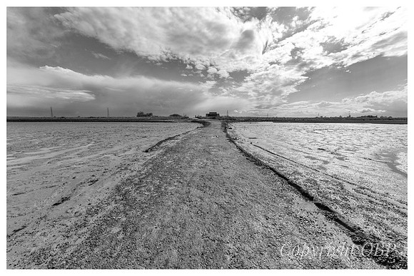 OBP_Oare_113