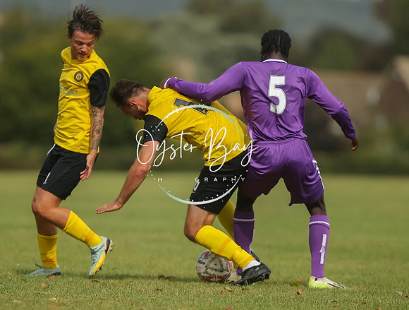 ADL_AshfordWanderes_12-5_BurtonGrove_320