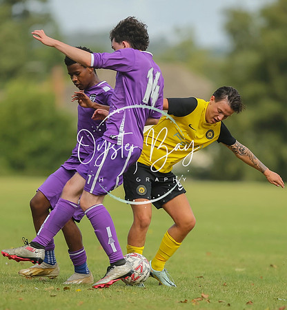 ADL_AshfordWanderes_12-5_BurtonGrove_324