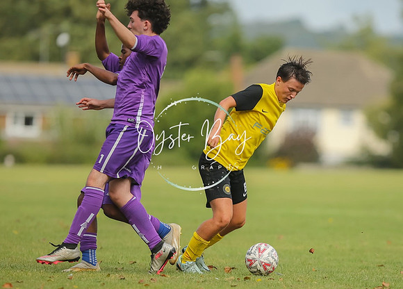 ADL_AshfordWanderes_12-5_BurtonGrove_325