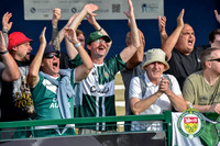 Fans Celebrations