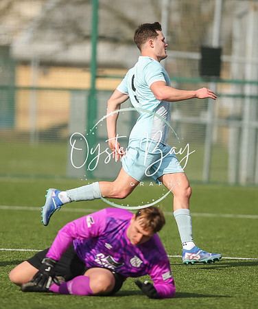 StanhopeRes_2-11_FortunaSwans_392