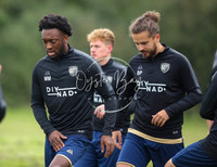 SouthEastSwans_1-4_Egerton_003