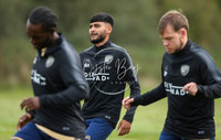 SouthEastSwans_1-4_Egerton_005