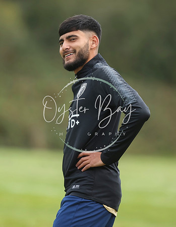 SouthEastSwans_1-4_Egerton_006