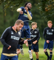 SouthEastSwans_1-4_Egerton_013