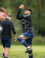 SouthEastSwans_1-4_Egerton_012