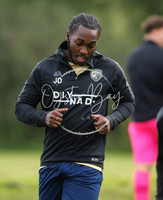 SouthEastSwans_1-4_Egerton_015