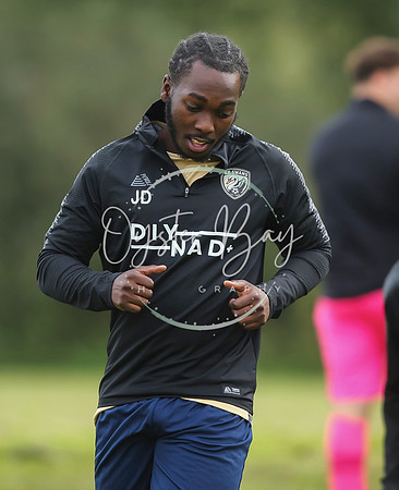 SouthEastSwans_1-4_Egerton_015
