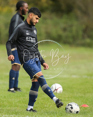 SouthEastSwans_1-4_Egerton_020