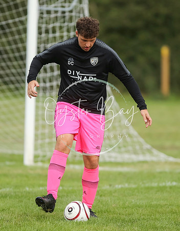 SouthEastSwans_1-4_Egerton_021