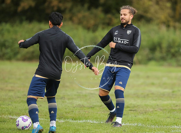 SouthEastSwans_1-4_Egerton_022
