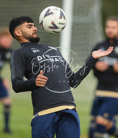 SouthEastSwans_1-4_Egerton_031