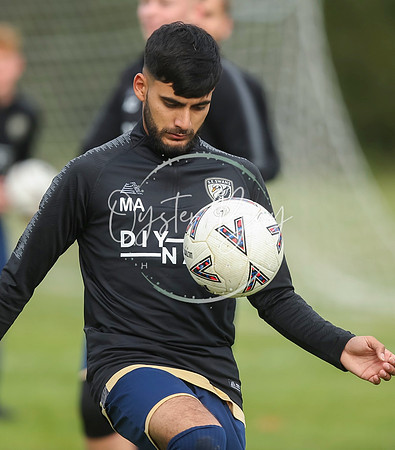 SouthEastSwans_1-4_Egerton_032