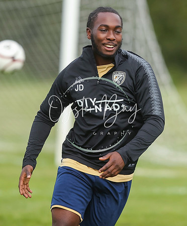 SouthEastSwans_1-4_Egerton_038