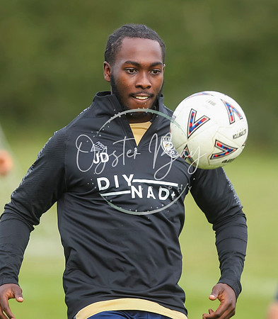 SouthEastSwans_1-4_Egerton_041