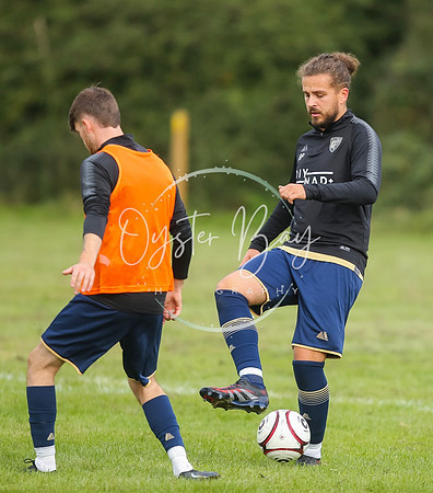 SouthEastSwans_1-4_Egerton_044