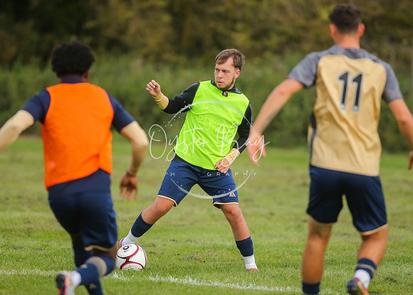 SouthEastSwans_1-4_Egerton_048