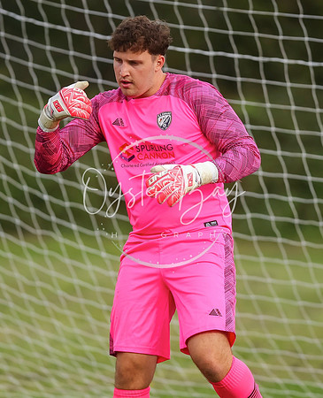 SouthEastSwans_1-4_Egerton_049