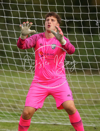 SouthEastSwans_1-4_Egerton_050