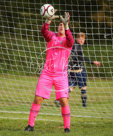 SouthEastSwans_1-4_Egerton_052