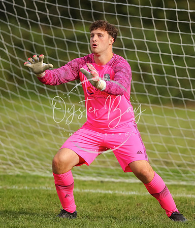 SouthEastSwans_1-4_Egerton_053