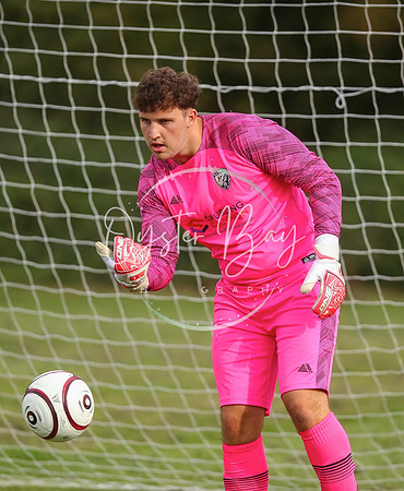 SouthEastSwans_1-4_Egerton_051