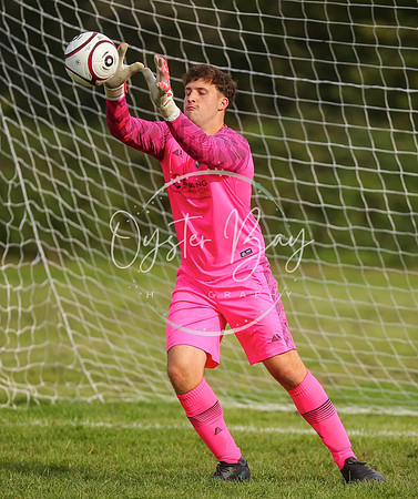 SouthEastSwans_1-4_Egerton_055