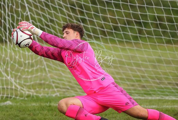 SouthEastSwans_1-4_Egerton_057