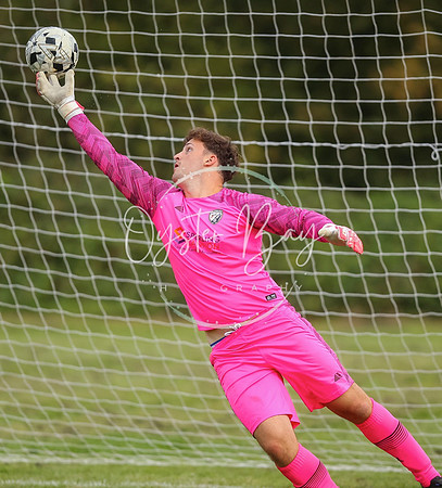 SouthEastSwans_1-4_Egerton_058