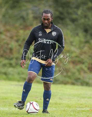SouthEastSwans_1-4_Egerton_060
