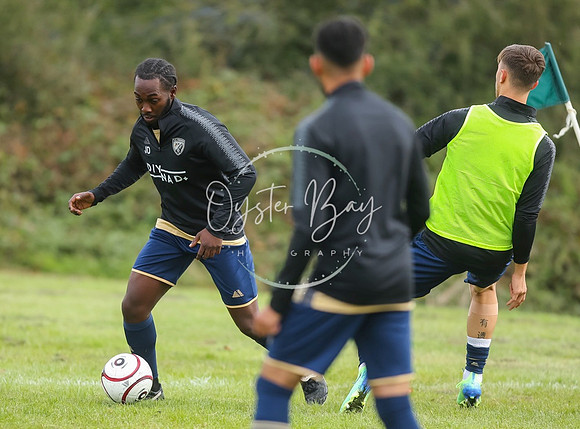 SouthEastSwans_1-4_Egerton_061