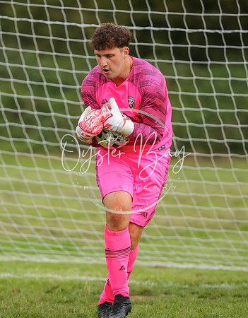 SouthEastSwans_1-4_Egerton_063